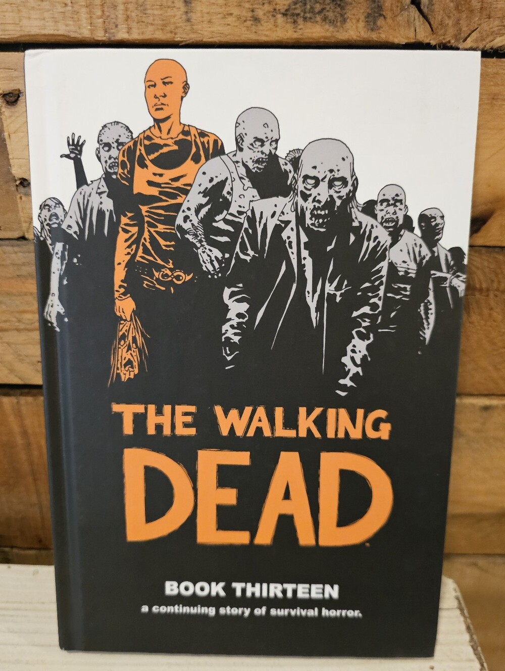 "The Walking Dead" Graphic Novel Book 13